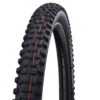 Schwalbe Hans Dampf Evo Super Trail 29" Addix E-25 Faltreifen