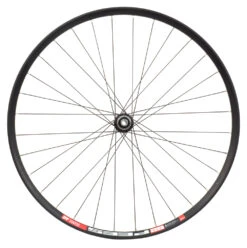 29" XT FH-M8010 12x142mm / DT Swiss 533d Disc Hinterrad