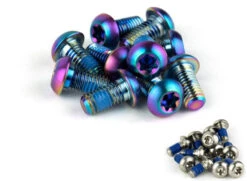 SRAM Bremsscheiben Befestigungsschrauben Titan 12 Stück