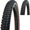 Schwalbe Wicked Will Evo Super Ground 29" Addix E-50 Faltreifen